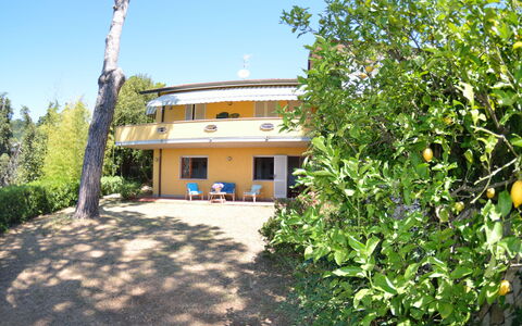 Il Corbezzolo: Eigendom, Huis, Onroerend Goed, Gebouw, Huis, Verblijf, Boom, Villa, Landgoed, Land Lot