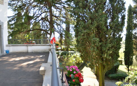 Villa Il Borghetto: Boom, Fabriek, Bloem, De Lente, Architectuur, Gang, Park, Struik