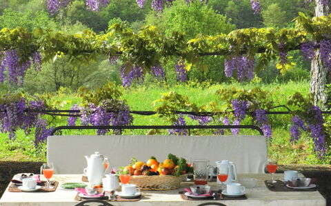 Villa Fabbri: Purper, Lavendel, Tuin, Lila, De Lente, Boom, Fabriek, Bloem, Tafel, Patio