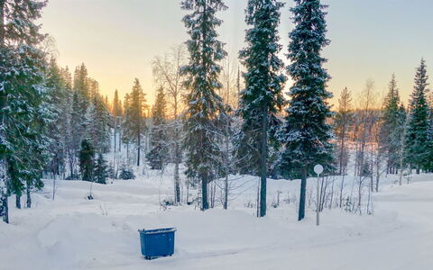 Ruka-Ihtinki 4 a 3: Sneeuw, Winter, Afdeling, Boom, Natuurlijke Omgeving, Woud, Landschap, Freezing, Vorst