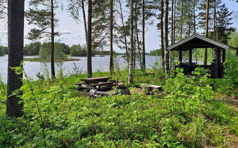 Haapaniemi, Cjoe020: Hout, Verblijf, Blokhut, Woud, Schuur, Garden Gebouwen, Lariks, Bos, Beits