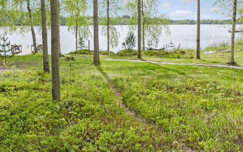 Honkaniemi: Hout, Verblijf, Blokhut, Woud, Schuur, Garden Gebouwen, Lariks, Bos, Beits