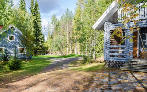 Metsätähti: Meubilair, Stoel, Buitenmeubels, Tafel, Hout, Buitentafel, Keuken En Eettafel, Schaduw, Tuin, Paraplu