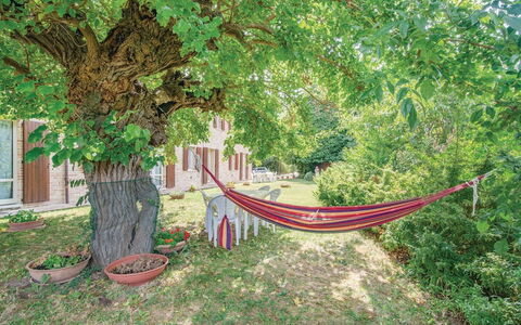 Ca Maggetti: Natuur, Boom, Groen, Vegetation, Natuurlijk Landschap, Plantkunde, Blad, Woody Plant, Fabriek