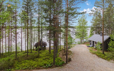Hatun Huilaus: Boom, Plantengemeenschap, Bos, Woud, Trunk, Verblijf, Bosje, Lariks