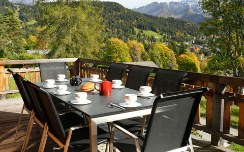 Chalet Maurice: Tafel, Fabriek, Lucht, Meubilair, Tableware, Eigendom, Stoel, Boom, Buitentafel, Hout