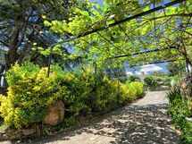 B&b Verde Liguria