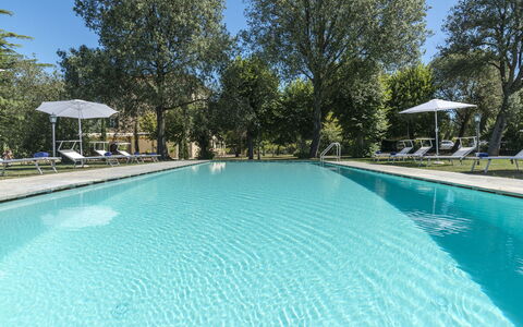 Villa Ivana - Cortona: Zwembad, Eigendom, Onroerend Goed, Vrije Tijd, Huis, Gebouw, Landgoed, Toevlucht, Huis, Boom