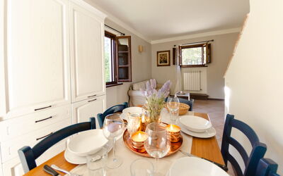 Accommodatie:&nbsp;Morgana