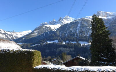 Edelweiss
