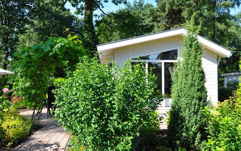 Accommodatie:&nbsp;Bospark Ede 203.2