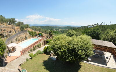 Agli Olivi