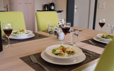 Accommodatie:&nbsp;Wohnmotel 100.38