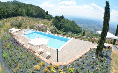 Villa Orchidea - Petrognano, Toscane, Italië