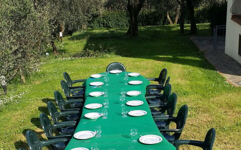 Villa Vaniglia Proprietà: Groen, Gras, Eigendom, Gazon, Tafel, Boom, Vrije Tijd, Tuin, Stoel, Fabriek