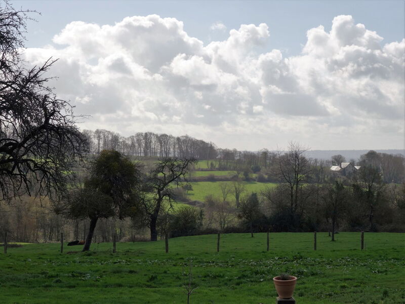 Les Écuries de Callenville