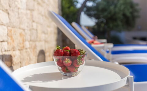 Roko: Voedsel, Tableware, Tafel, Dishware, Bord, Blauw, Keuken, Fruit, Serveware