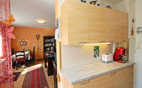 Vienna Waits for You: Kamer, Eigendom, Interieur Ontwerp, Meubilair, Countertop, Verdieping, Cabinetry, Keuken, Huis, Gebouw