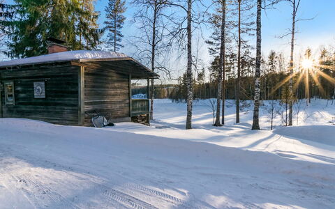 Saarijärvi: Hout, Verblijf, Blokhut, Woud, Schuur, Garden Gebouwen, Lariks, Bos, Beits