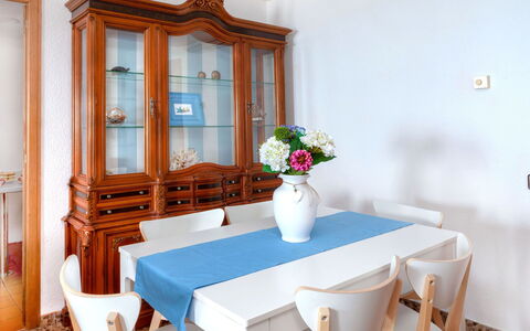 Albatros: Bloem, Tafel, Meubilair, Fabriek, Eigendom, Fotograaf, Vaas, Decoratie, Azure, Gebouw