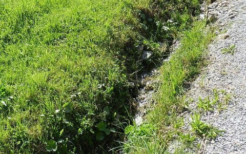 Majelas Heiti: Fabriek, Plantengemeenschap, Natuurlijk Landschap, Gras, Biome, Landbouw, Boom, Grasland, Groundcover