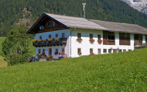 Glatzbichl: Heuvel Station, Eigendom, Huis, Bergketen, Natuurlijk Landschap, Berg, Alpen, Huis, Gebouw, Bergdorp
