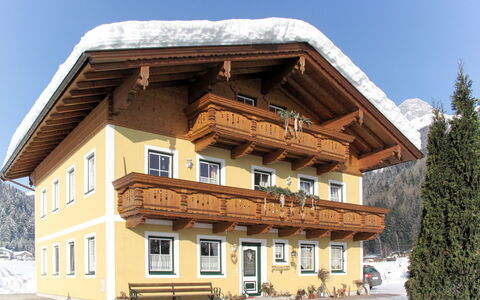 Gruber: Lucht, Gebouw, Venster, Sneeuw, Boom, Helling, Hout, Huis, Fabriek