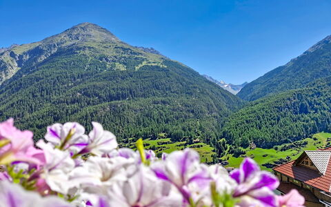 Alpenblick: Berg, Bergachtig Landvormen, Bloem, Heuvel, Bergketen, Hoogland, Heuvel Station, Landschap, Vallei, Ridge