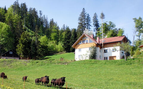 Mühlenmichelshäusle: Pasture, Natuurlijk Landschap, Grasland, Eigendom, Natuurlijke Omgeving, Weide, Boerderij, Landelijk Gebied, Boerderij, Huis