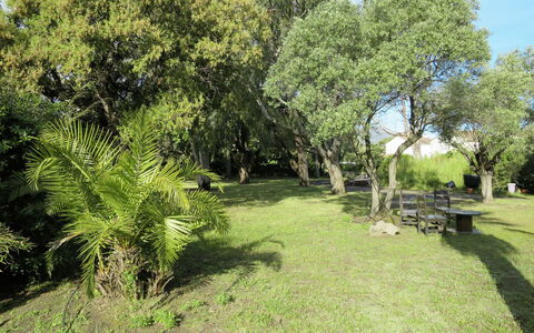 Les Chênes: Boom, Vegetation, Eigendom, Natuurlijk Landschap, Gras, Land Lot, Natuurgebied, Huis, Onroerend Goed, Fabriek