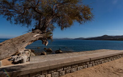L'Ile Rousse 604