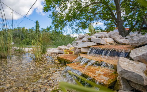 Angelina: Natuurlijk Landschap, Water, Natuurlijke Omgeving, Vegetation,  Felsen\, Boom, Natuurgebied, Muur, Wildernis, Gras