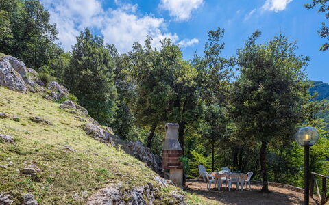 Vincio: Vegetation, Boom, Wildernis, Natuurgebied, Berg, Biome, Muur, Woud,  Felsen\, Heuvel