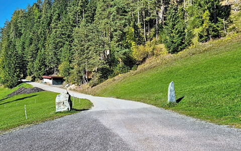 Radstadt 606: Gras, Boom, Weg Oppervlak, Weg, Asfalt, Struik, Doorgang, Groundcover, Bergpas