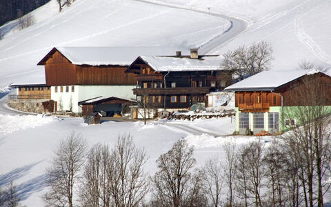 Angererhof: Sneeuw, Winter, Eigendom, Huis, Heuvel Station, Huis, Skitoevlucht, Gebouw, Boom, Berg