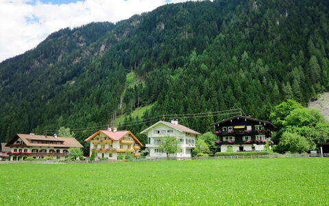 Mayrhofen 686: Wolk, Fabriek, Berg, Lucht, Ecoregio, Groen, Natuurlijk Landschap, Boom, Huis, Land Lot
