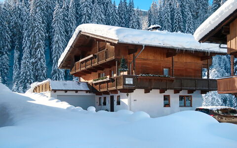 Wildschönau 664: Gebouw, Lucht, Sneeuw, Boom, Huis, Helling, Hout, Afdeling, Venster, Freezing