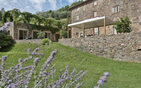 Chiodo: Lavendel, Eigendom, Bloem, Huis, Fabriek, Architectuur, Muur, Gras, Gebouw, Tuin