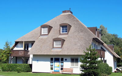 Ostseebad Prerow 605 - Ribnitz-Damgarten, Mecklenburg-Vorpommern, Duitsland - Kormoran (Prw111) 605.2