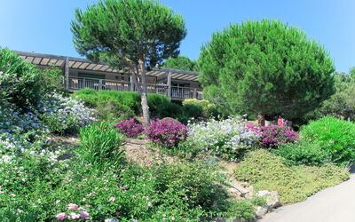 Porto Vecchio 658