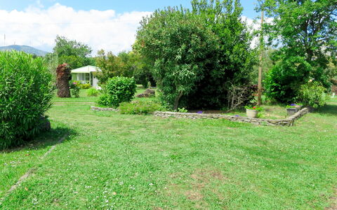 San Nicolao 674: Land Lot, Eigendom, Gras, Vegetation, Natuurlijk Landschap, Werf, Natuurgebied, Gazon, Tuin, Boom