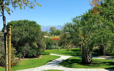 Calvi 610