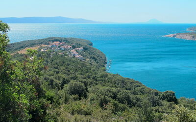 Labin 755