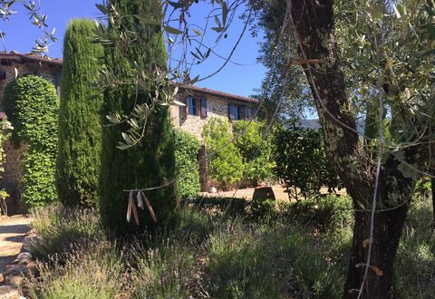 Macennere: Vegetation, Eigendom, Boom, Huis, Lucht, Gebouw, Struik, Grassenfamilie, Landelijk Gebied, Architectuur