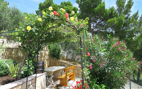 Nina: Bloem, Tuin, Fabriek, Boom, Plantkunde, Architectuur, De Lente, Werf, Huis, Onroerend Goed