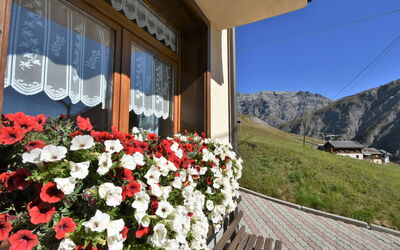 Livigno 619: Fabriek, Bloem, Gebouw, Eigendom, Venster, Bloempot, Lucht, Berg, Huis, Petal