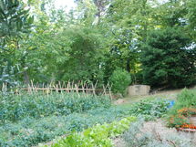 Villa Di Montelopio