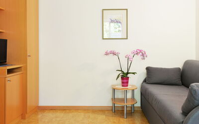 Accommodatie:&nbsp;Hocheppan 602.3