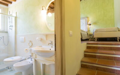 Accommodatie:&nbsp;Il Felciaione 621.17