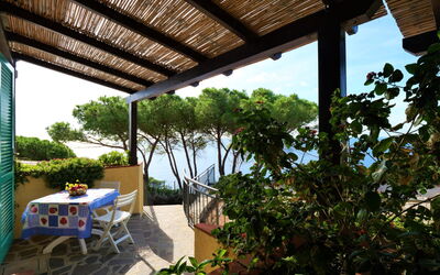 Accommodatie:&nbsp;Oasis 2 630.4